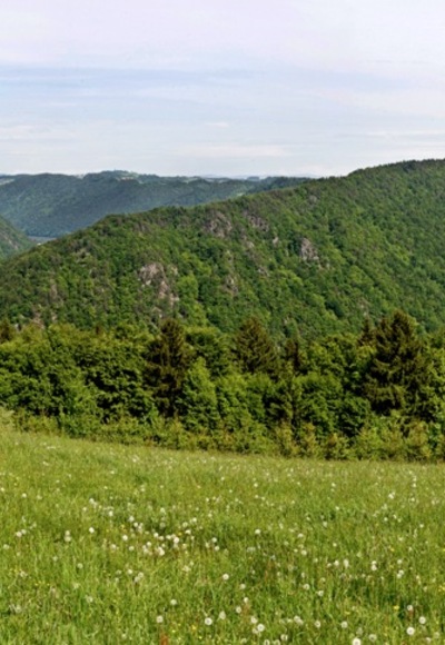 Panorama Kerschbaum