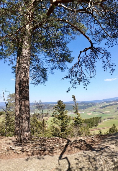 Brezer-Jausen-Weg Kühstein Sarleinsbach