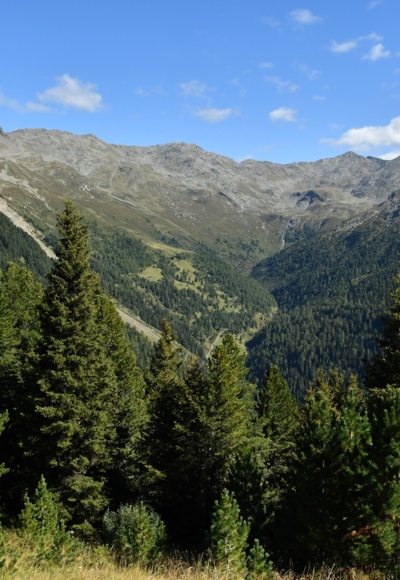 Blick von Boscheben auf das Viggartal und die Kreuzspitze