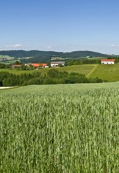Sagenhafter 4/4-Blick