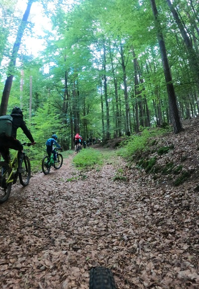 MTB Strecke Heimbuchenthal