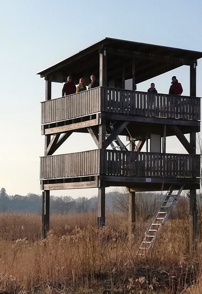 Vogelbeobachtungsturm im Freisinger Moos