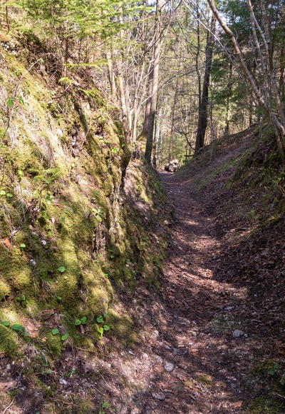 der Trailf führt steil hinab durch einen wildromantischen Hohlweg,