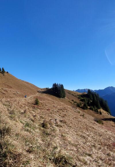 Komfortabler Weg zum Aussichtspunkt Lachenkopf.