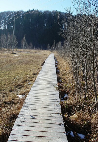 Holzsteg am Bärnsee