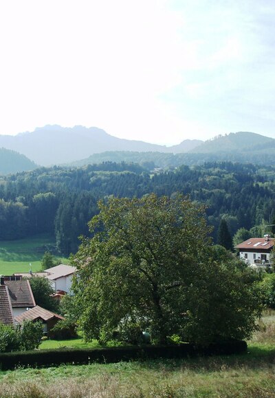 Blick auf Kampenwand