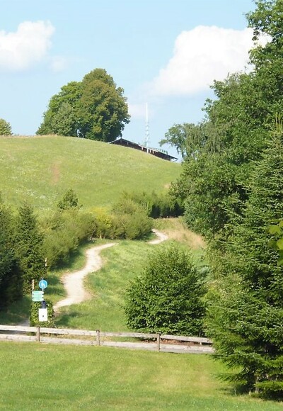 Höfeweg Von der Blüte zum Honig