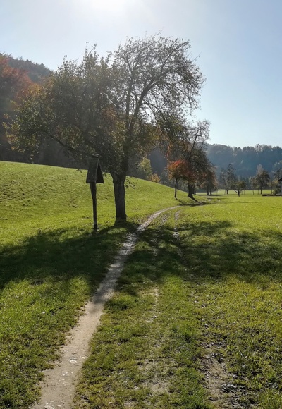 St. Ulrich/Landhotel Eckhard Richtung Dambachtal