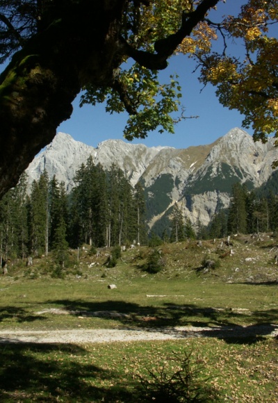Kleiner Ahornboden im Johannistal