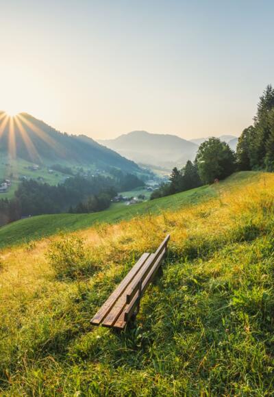 Wanderweg am Rotenberg
