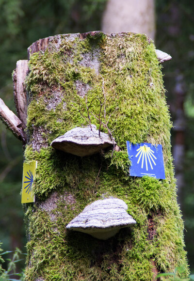 Wegzeichen