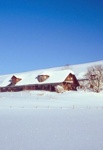 Schneeschuwandern - Gschwendtalm