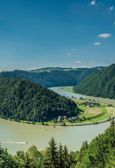 Schlögener Schlinge / Schlögener Loop
