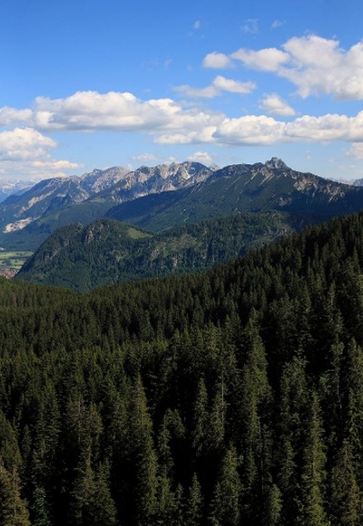 Panoramablick von der Alpspitze in Nesselwang