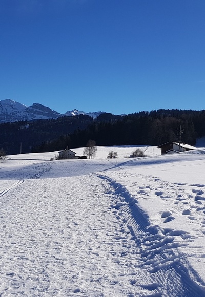Winterwanderweg Angelikahöhe