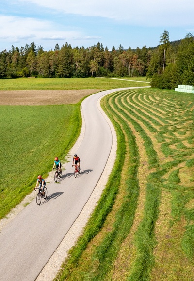 Radeln in der Pupplinger Au