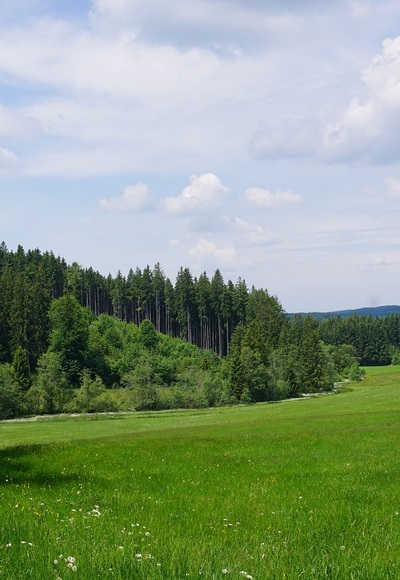 Logenplatz-Route - Entspannung pur