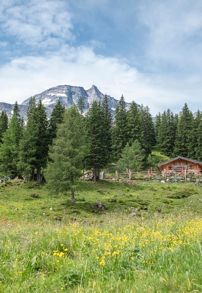 Hohe Tauern Panorama Trail - ET15 Raurisertal - Gainschniggalm