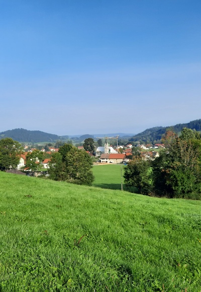Kleinweiler