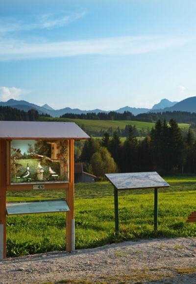 Station auf dem Vogellehrpfad