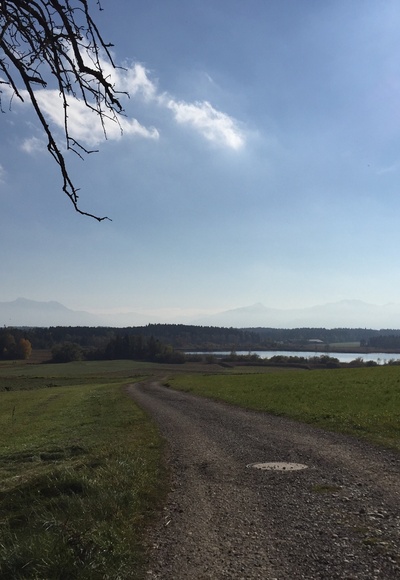 Alpenblick zwischen Oberbrunn und Eschenau