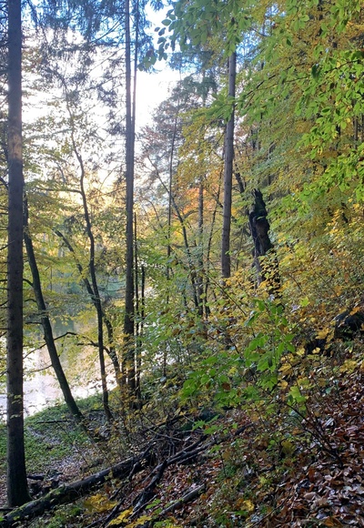 Amperschlucht bei Grafrath