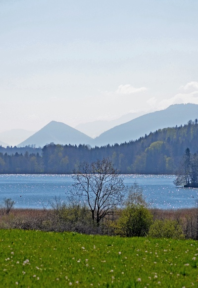 Seehamer See mit Blick in die Berge