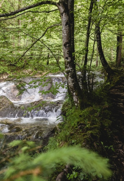 Samerberg, Duft - Fluderbach