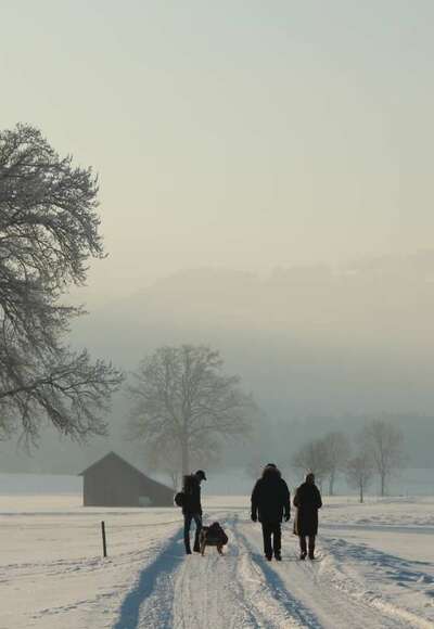 Winterspaziergang, Schlitten, Wanderer