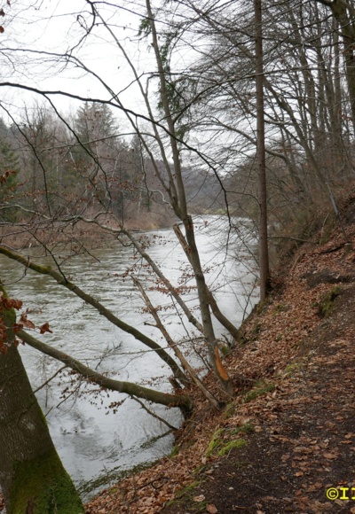 Amperschlucht bei Grafrath Südseite