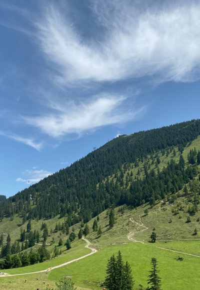 Wimmeralm mit Hochries.