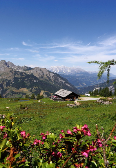 Saukaralm, 1.850 m