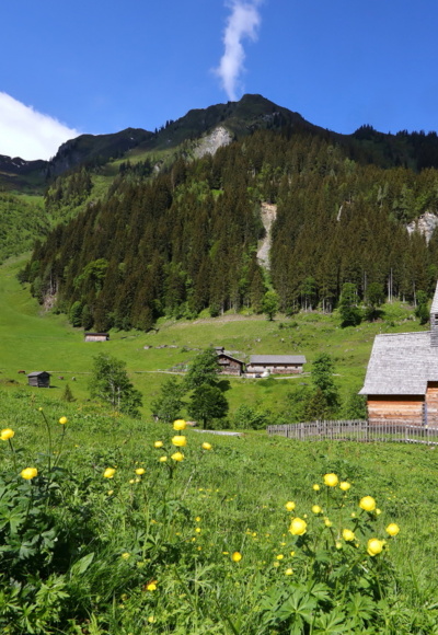 Aigenalm-Paulhütte