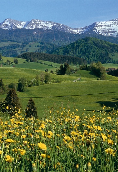 Ausblick Nagelfluhkette 2
