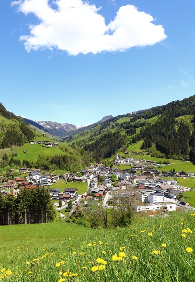 Aussicht auf Großarl