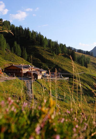 Loosbühelalm