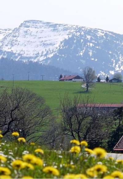 Ausblick