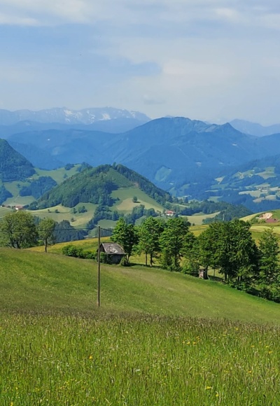 Freithofberg - Blick auf Großberger Kogel