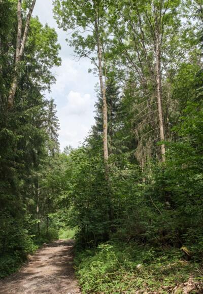 Rannatalweg