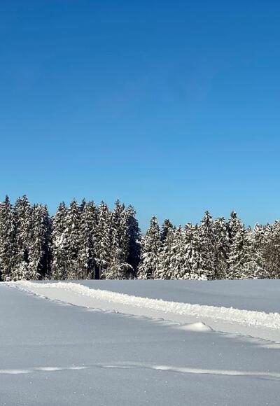 Langlaufloipe Hopfen
