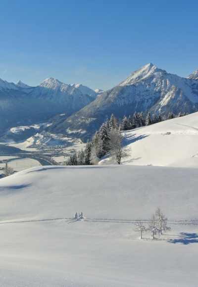Ausblick vom Plateau des Reither Kogels im Juppi Zauberwald