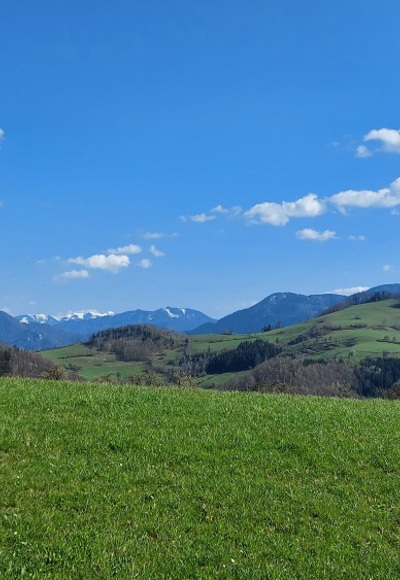 Ternberg vom Reitnerberg