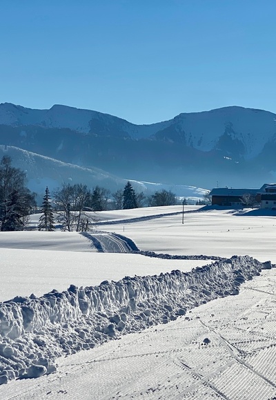 Langlaufloipe Stiefenhofen mit Blick zum Hochgrat