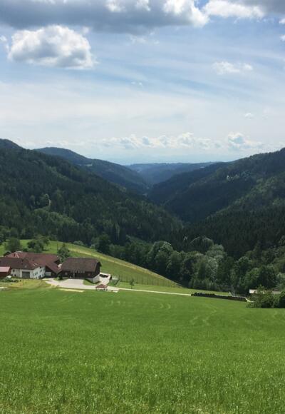 MTB-Runde St. Oswald 2 - Ausblick in die Mühlviertler Hügelwelt