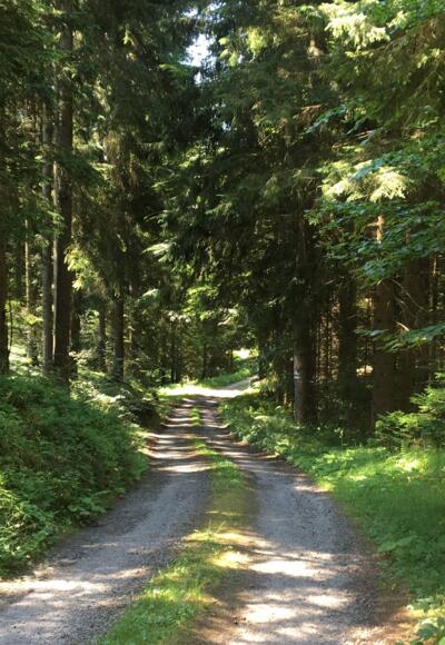 MTB-Runde Leopoldschlag