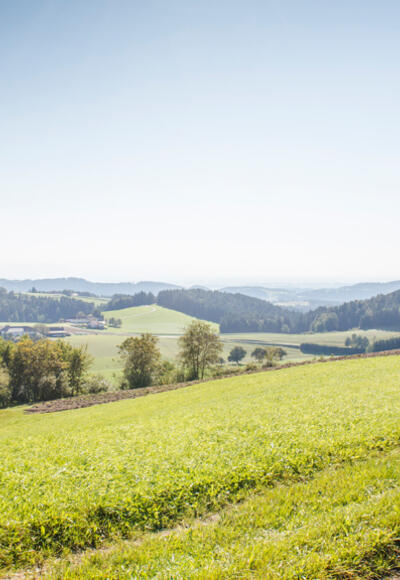 Radfahren im Mühlviertel