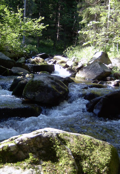 Wandern am Aisttalweg