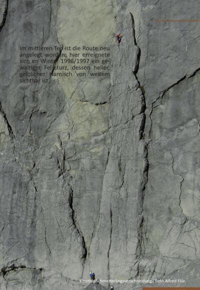 Einstieg Schmetterlingsverschneidung