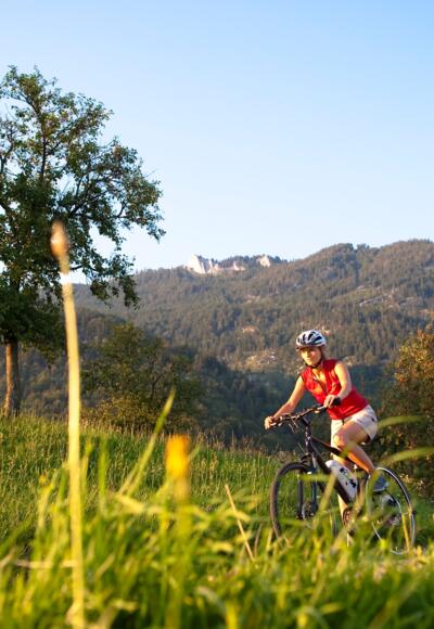 Radfahren in Oberoesterreich