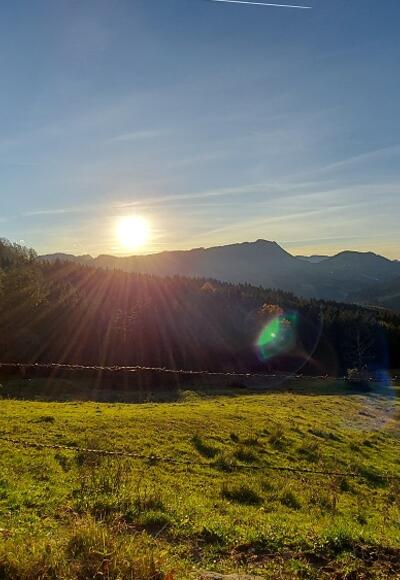 Arthofberg im Herbst mit Sonnenuntergang